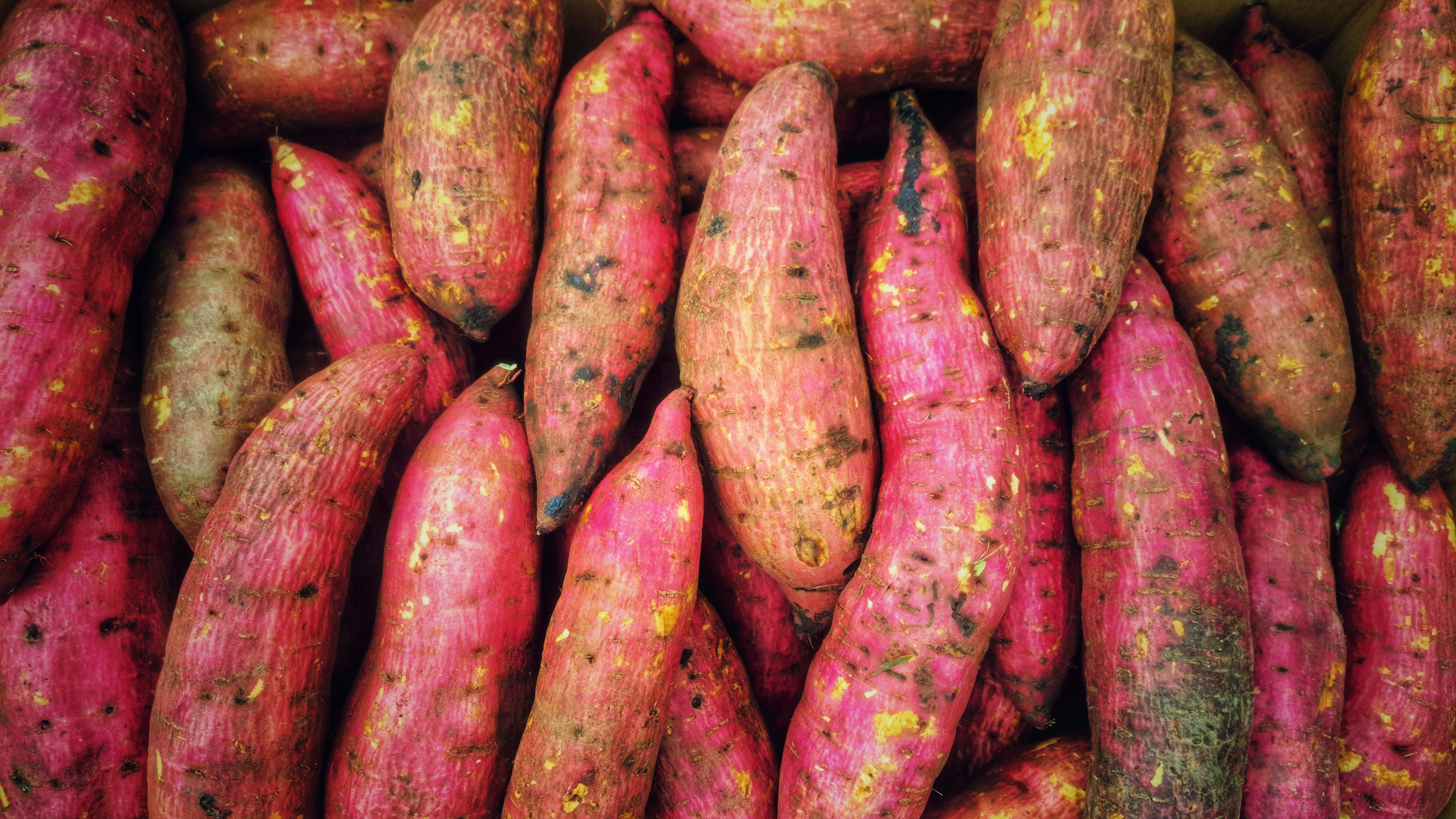  L’Aubergine